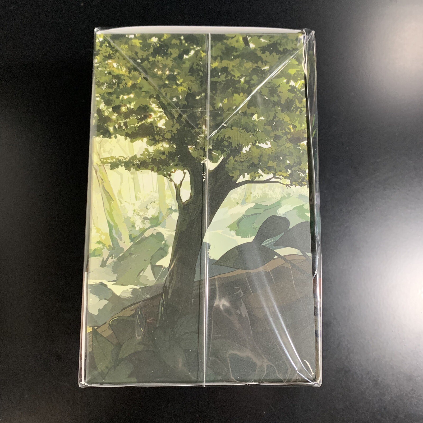 Unopened SW Marchen Forest: Mylne and the Forest Gift Limited Edition Nintendo