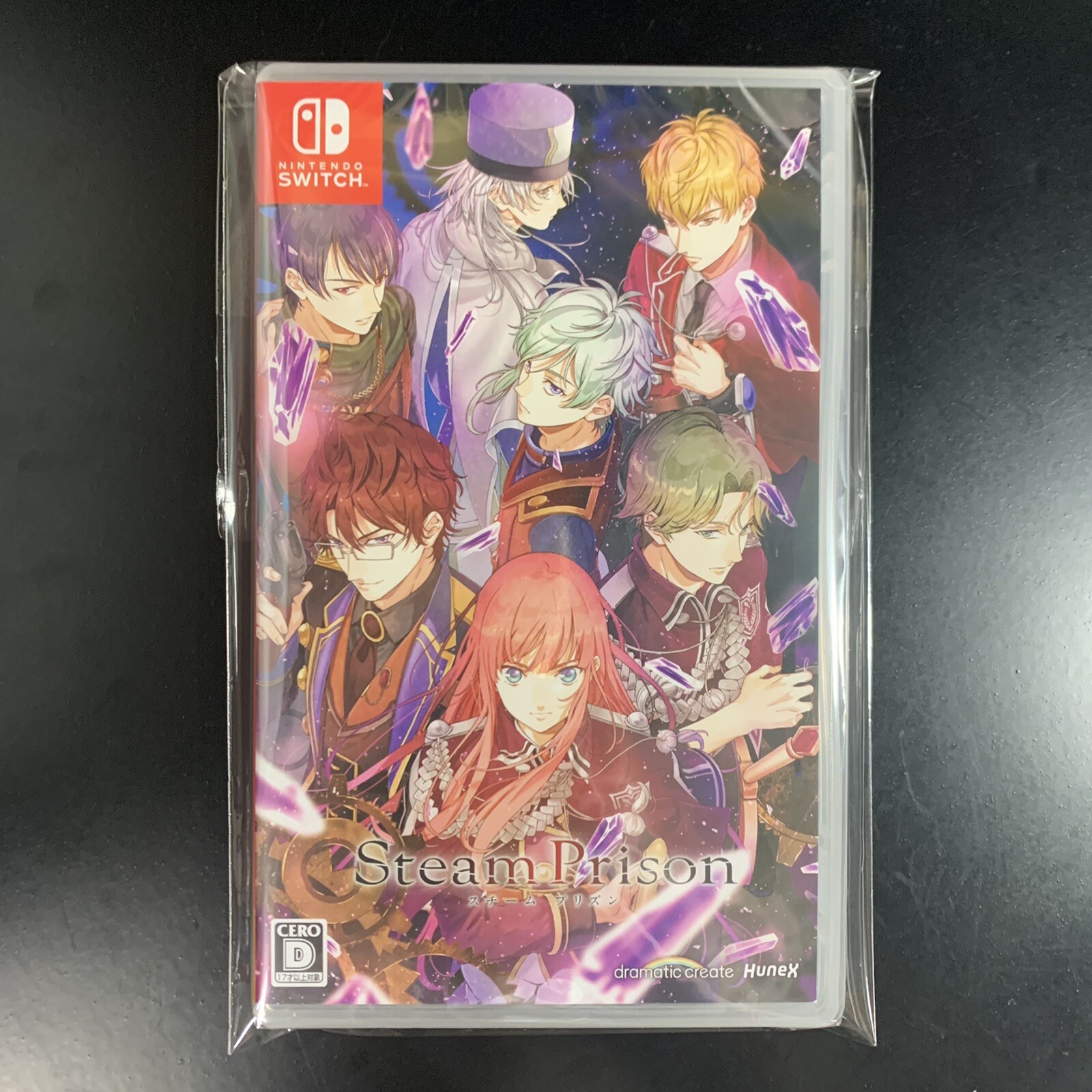 Unopened SW Steam Prison Nintendo Switch hunex Sealed Otome JP w/tracking