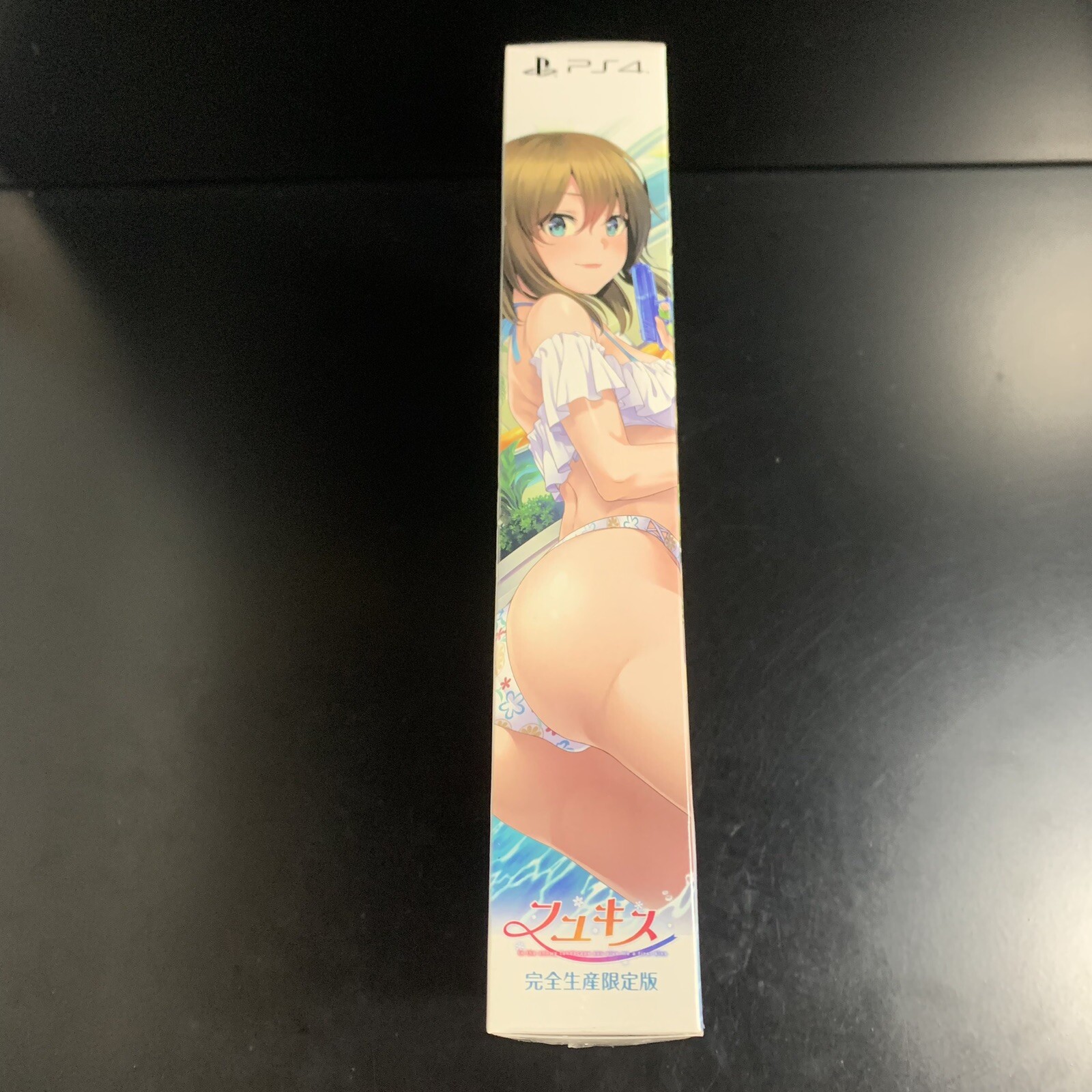 Unopened PS4 Fuyu Kiss Limited Edition Sony PlayStation 4 Entergram Sealed