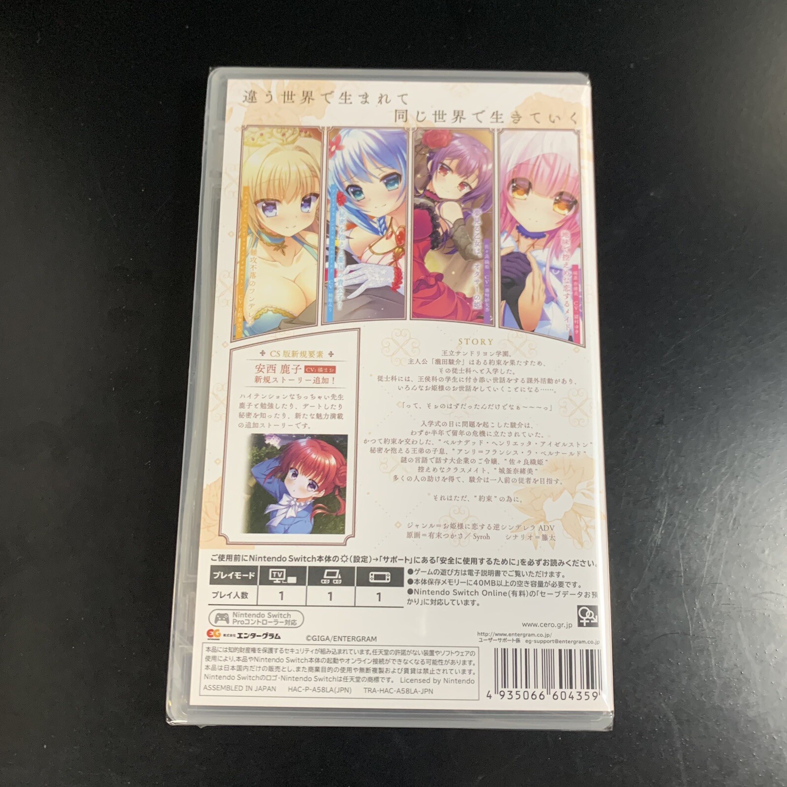 Unopened SW Princess of Glass and Retinue of Mirror's Nintendo Switch Entergram