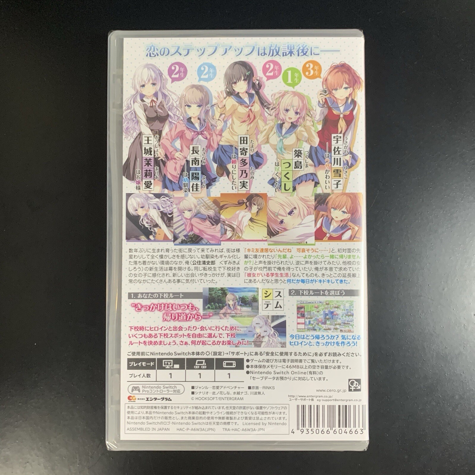 Unopened SW Houkago Cinderella Nintendo Switch Entergram Sealed Bishoujo JP