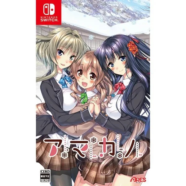 Unopened SW Amakano Nintendo Switch ARES Inc Sealed Bishoujo JP w/tracking