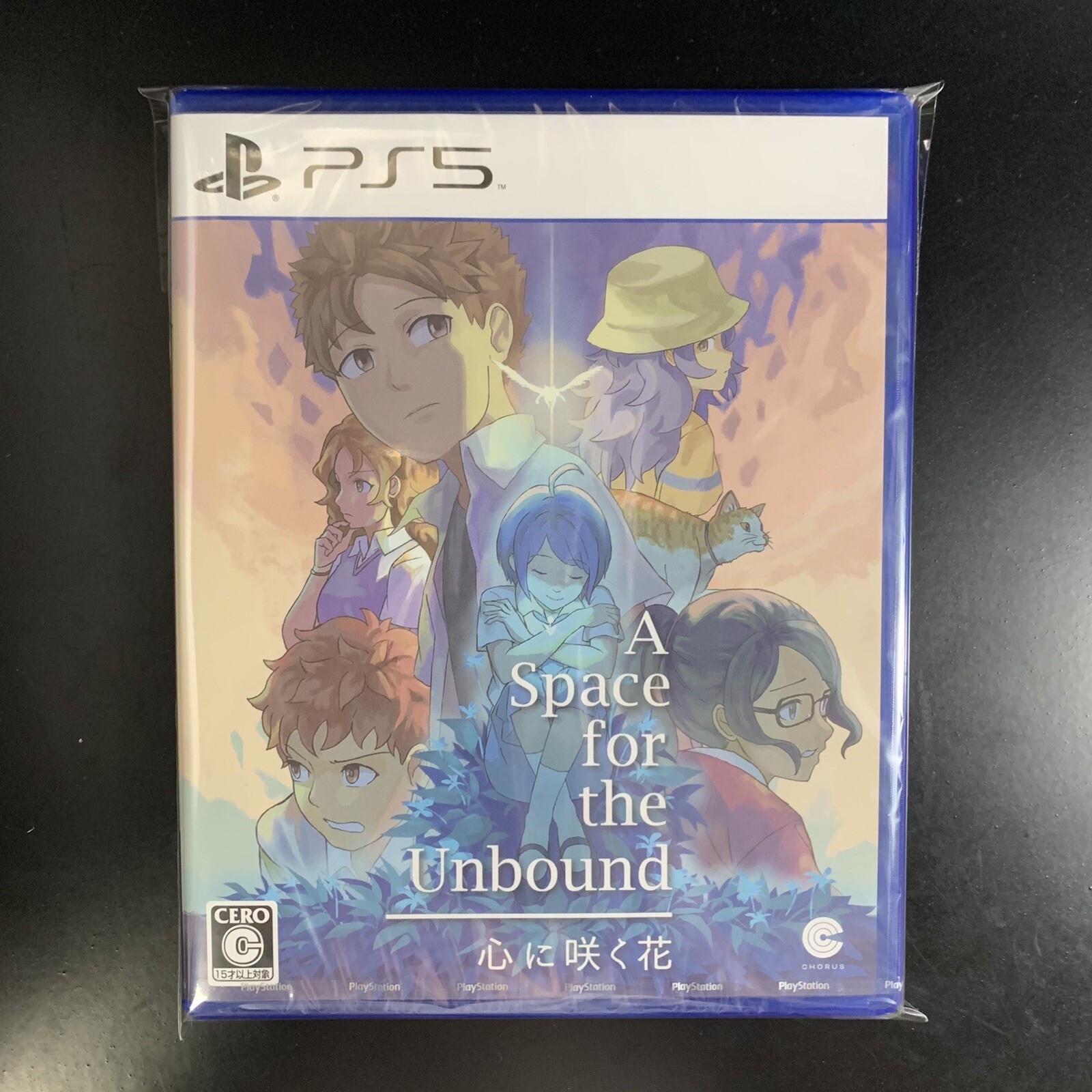 Unopened PS5 A Space For The Unbound Sony PlayStation 5 Chorus Worldwide Sealed