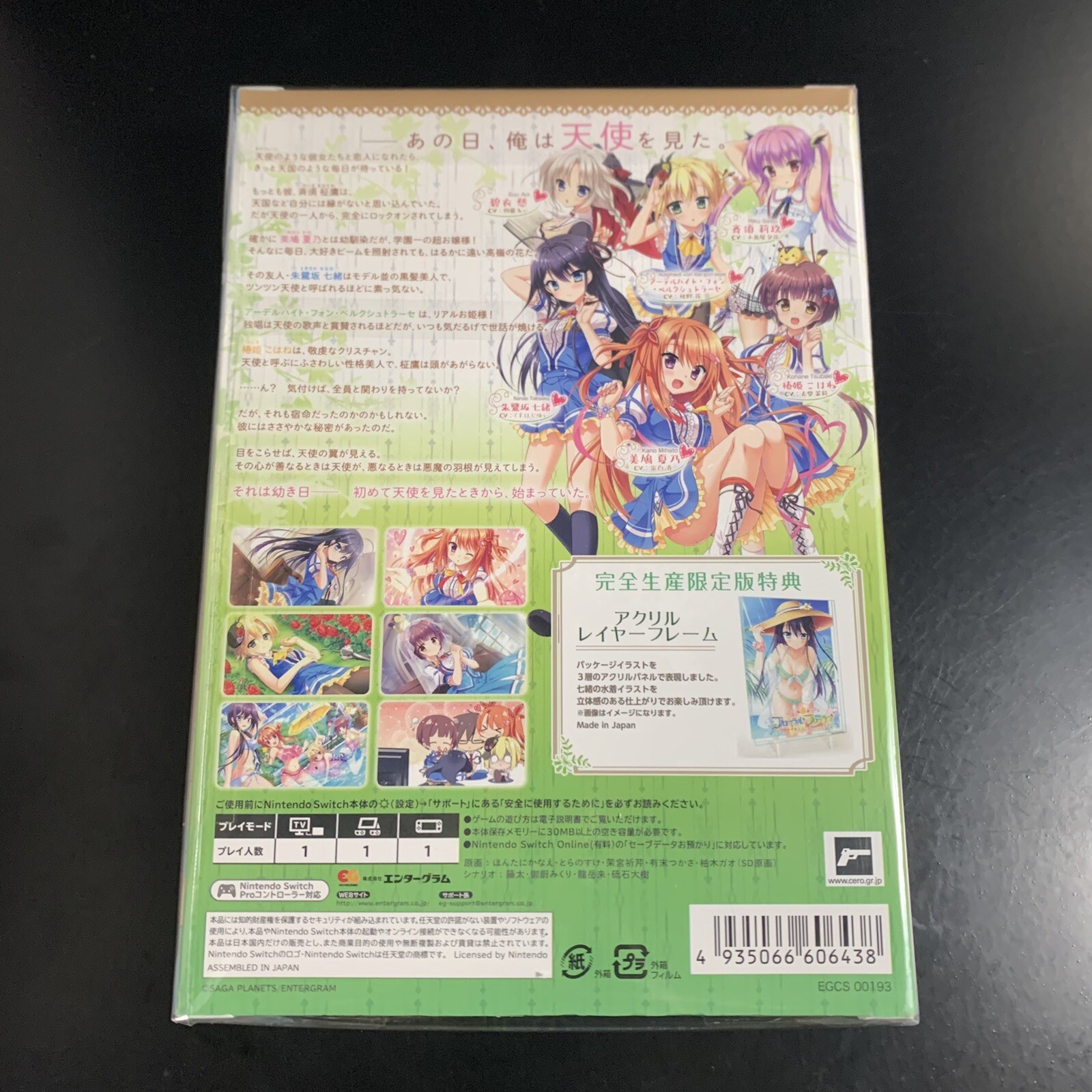 Unopened SW Floral Flowlove Limited Edition Nintendo Switch Entergram Sealed