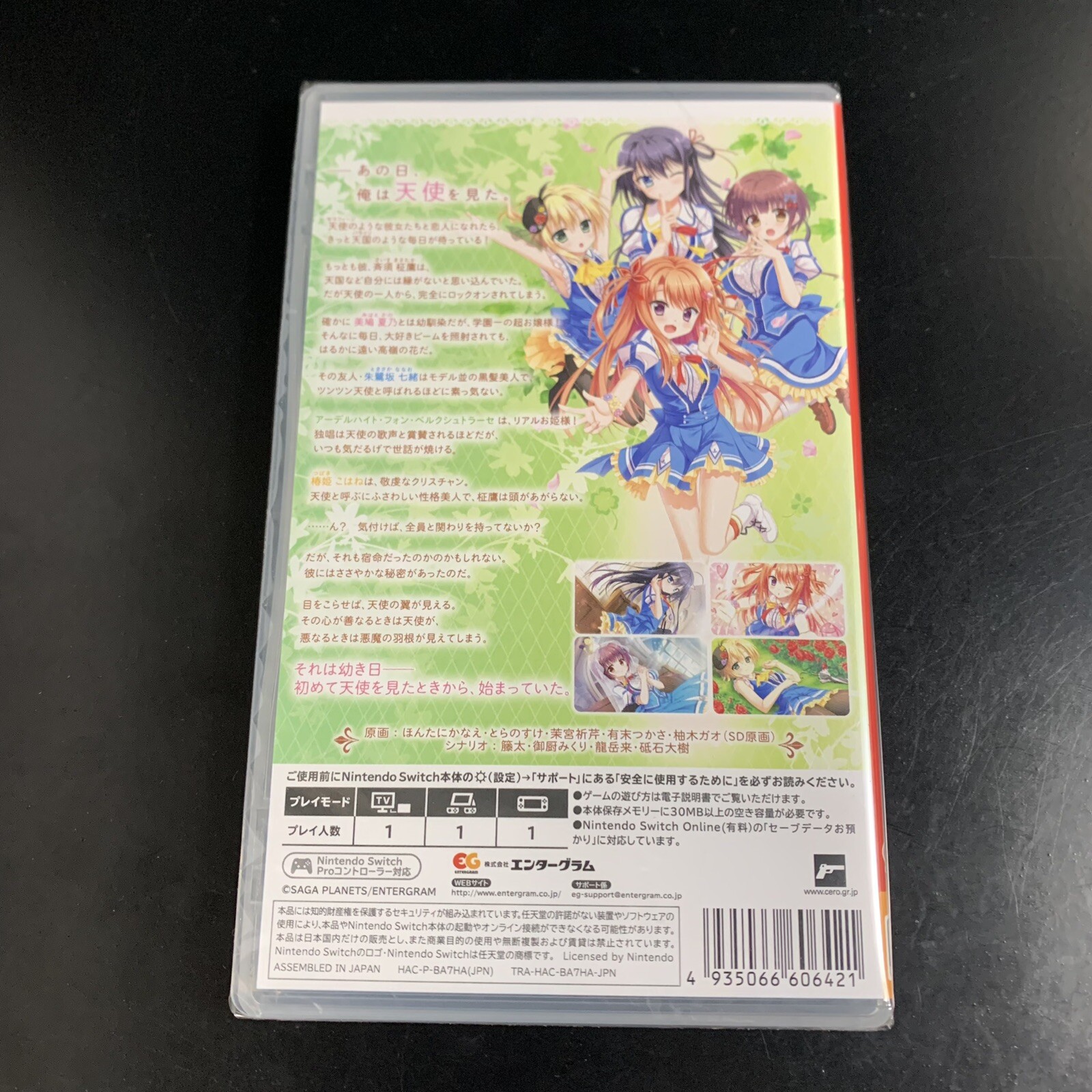 Unopened SW Floral Flowlove Nintendo Switch Entergram Sealed Bishoujo JP
