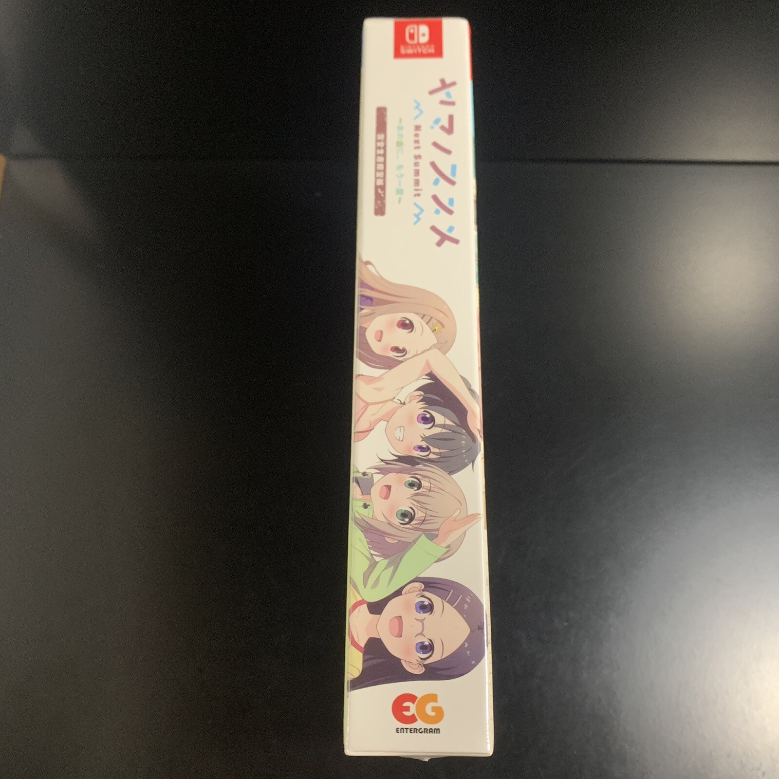 Unopened SW Encouragement of Climb Next Summit Limited Edition Nintendo Switch