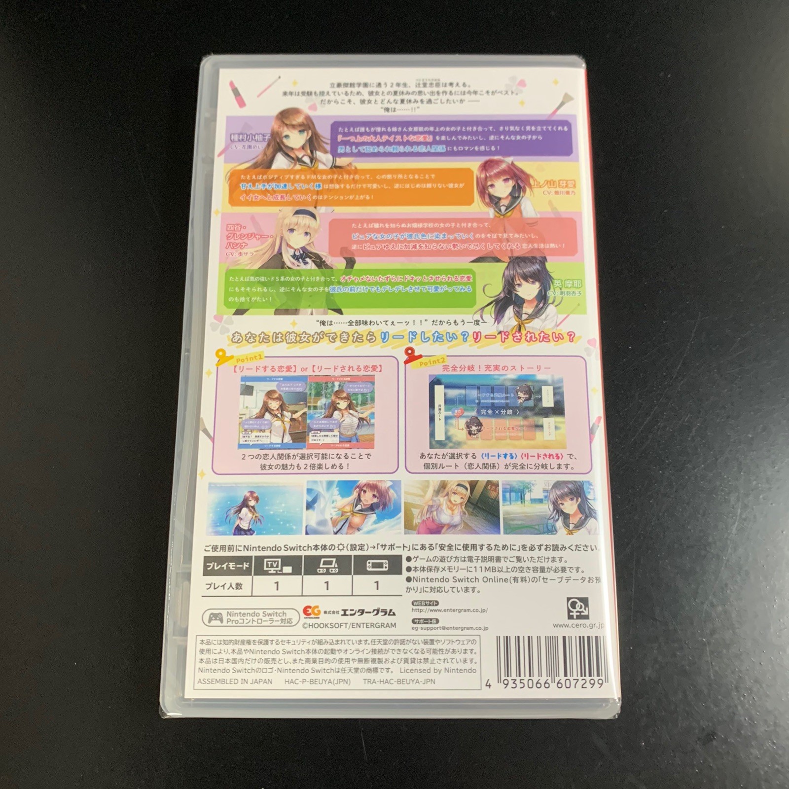 Unopened SW Dottino i Gasukidesuka? Nintendo Switch Entergram Sealed Bishoujo