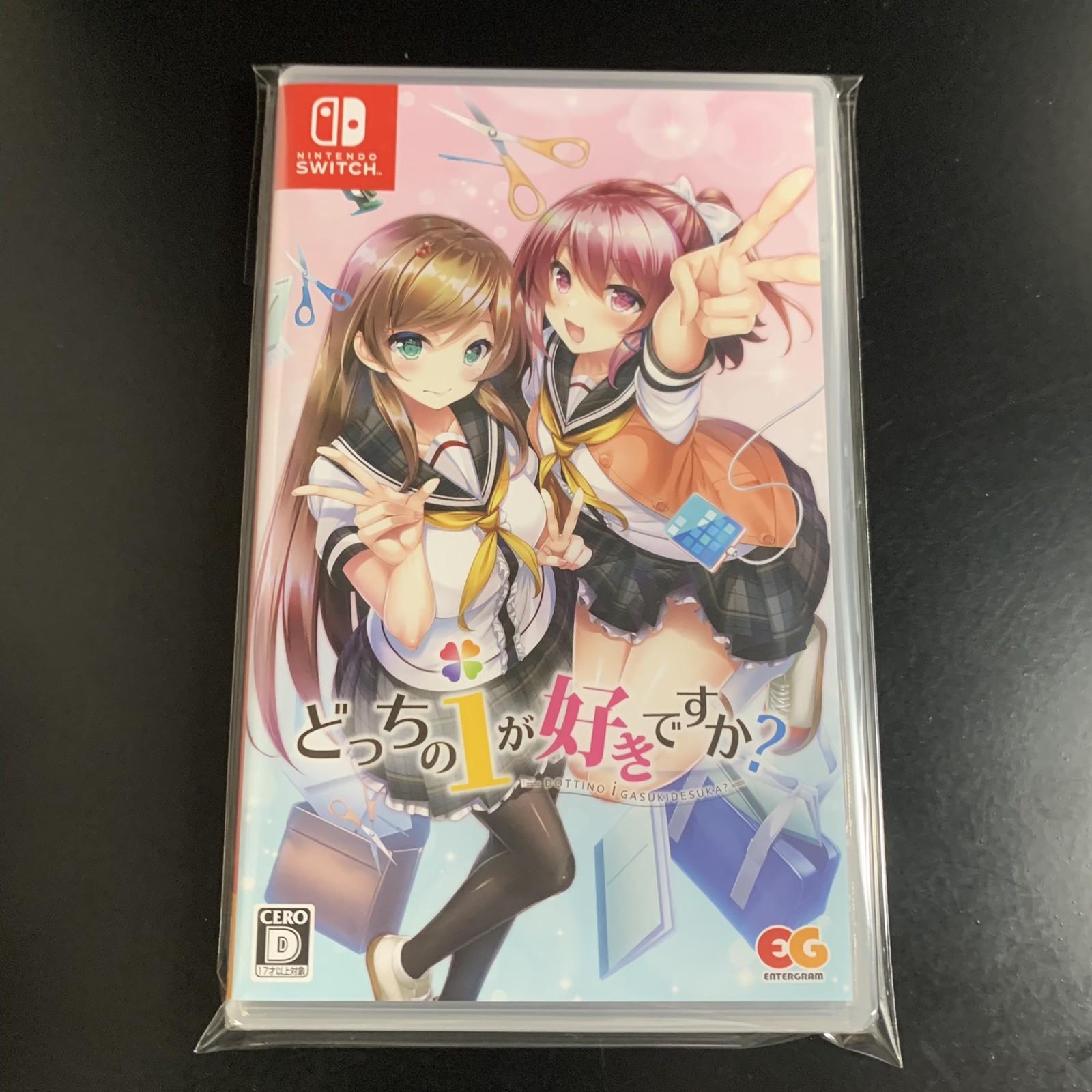 Unopened SW Dottino i Gasukidesuka? Nintendo Switch Entergram Sealed Bishoujo