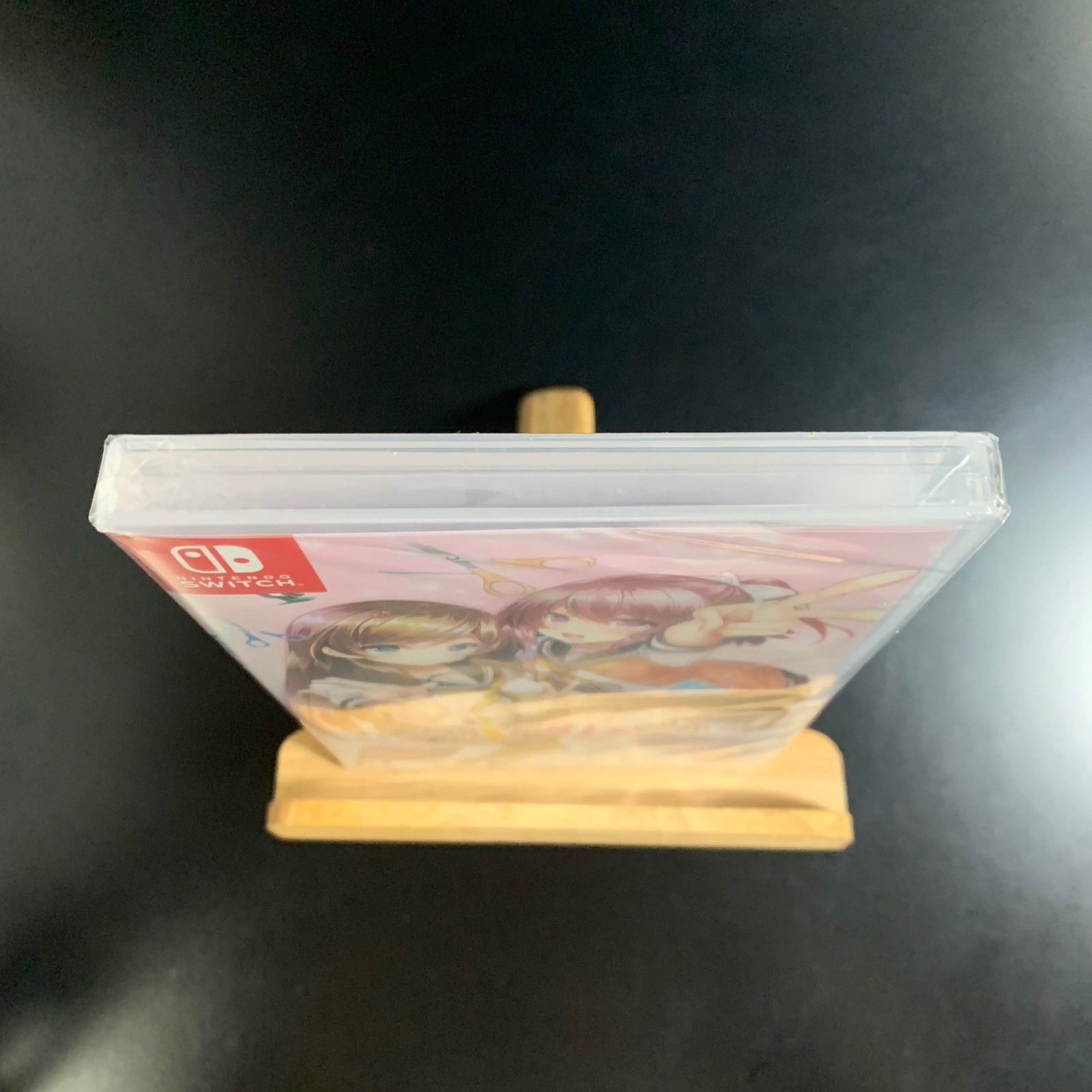 Unopened SW Dottino i Gasukidesuka? Nintendo Switch Entergram Sealed Bishoujo