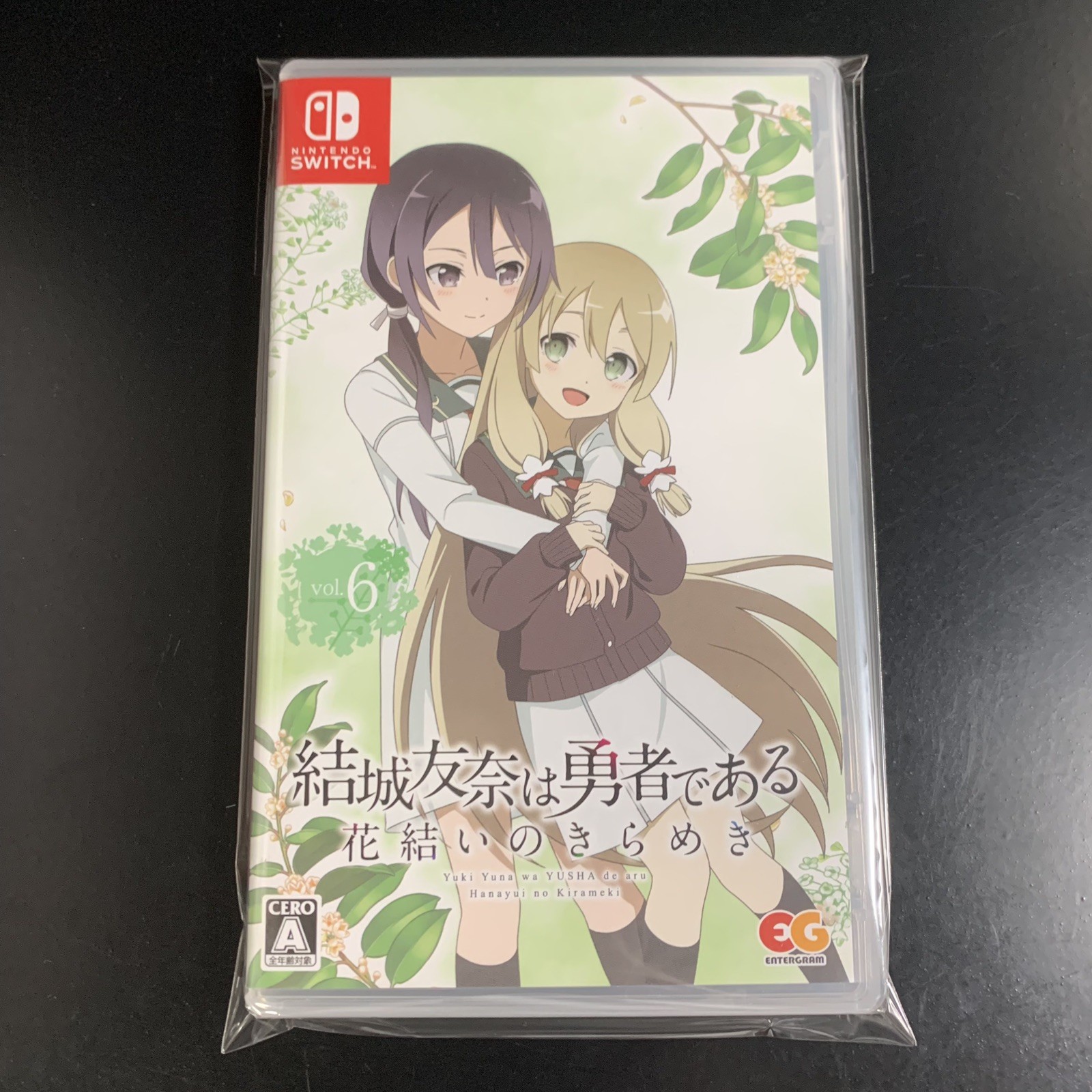 Unopened SW Yuki Yuna wa Yusha de aru Hanayui no Kirameki Vol. 6 Nintendo