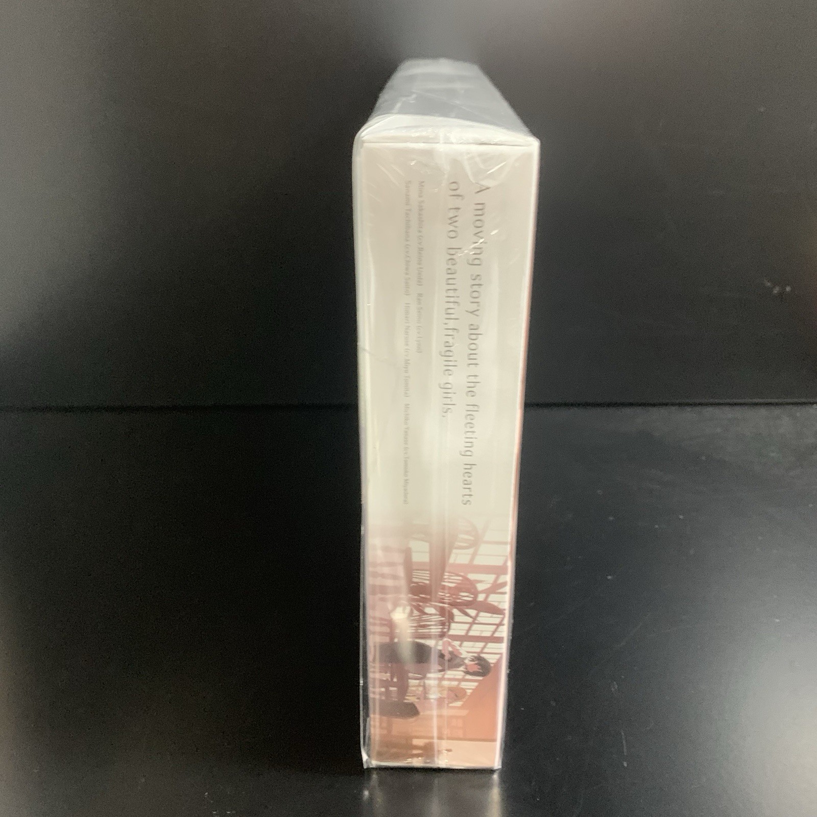 Unopened SW everlasting flowers Limited Edition Nintendo Switch sprite Sealed