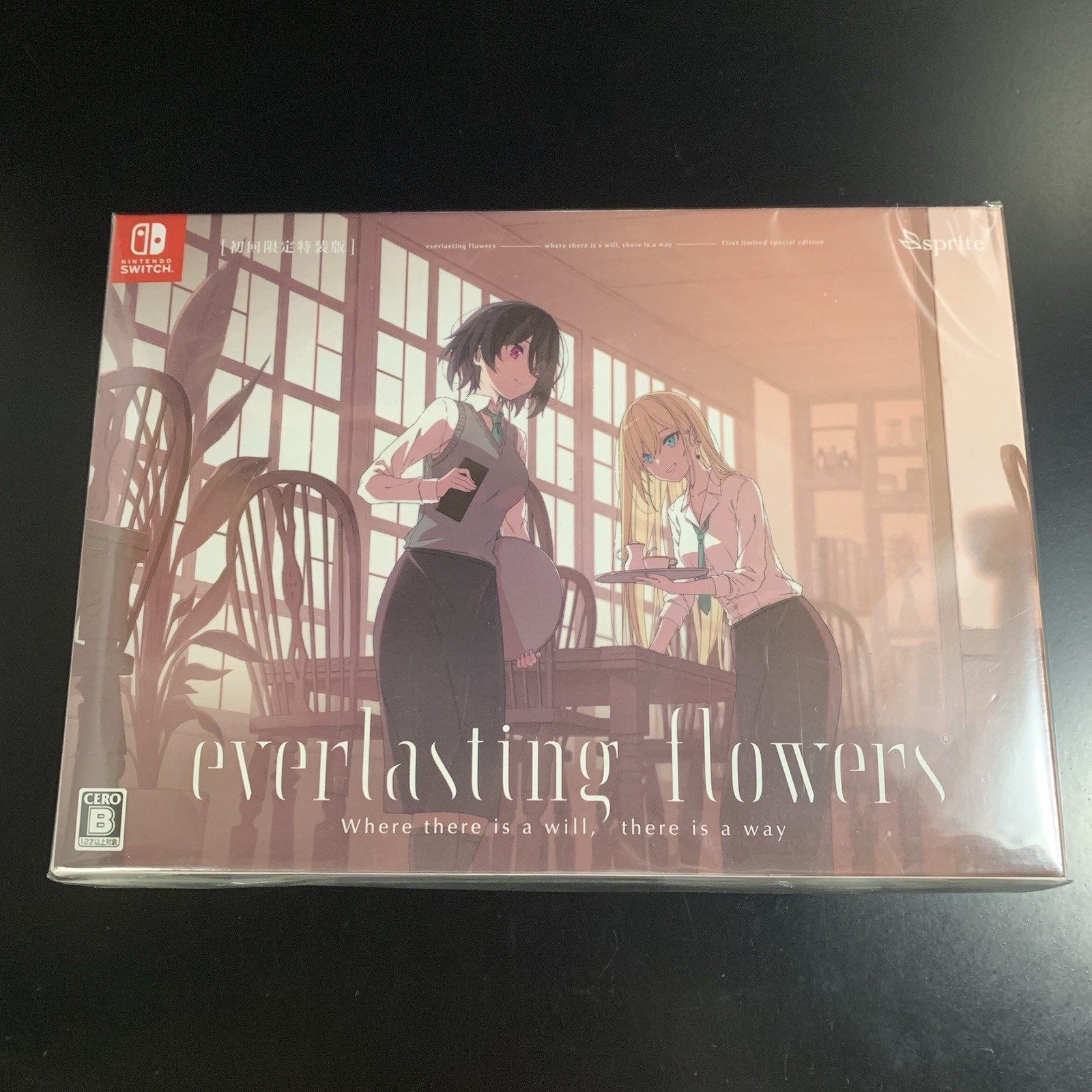 Unopened SW everlasting flowers Limited Edition Nintendo Switch sprite Sealed
